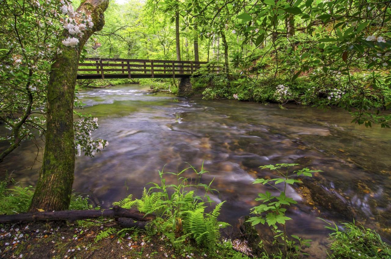 Bear Tracks, 2 Bedrooms, Hot Tub, Fireplace, Wifi, Jetted Tub, Sleeps 6 Gatlinburg Dış mekan fotoğraf